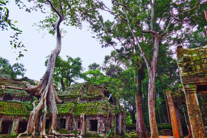 Image gallery